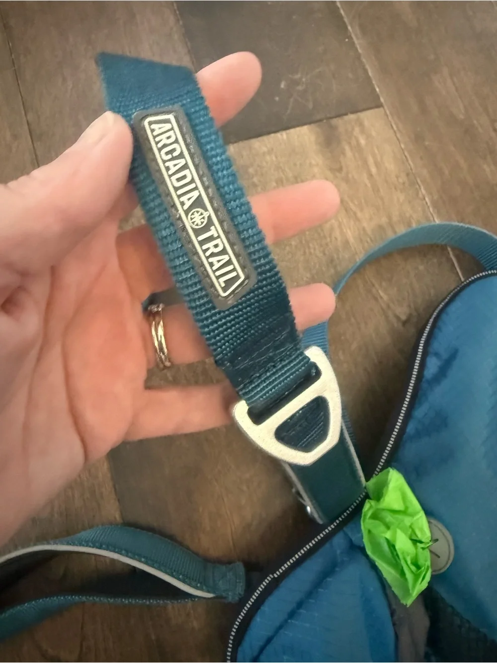 Arcadia Blue Sling Crossbody Bag and Leash